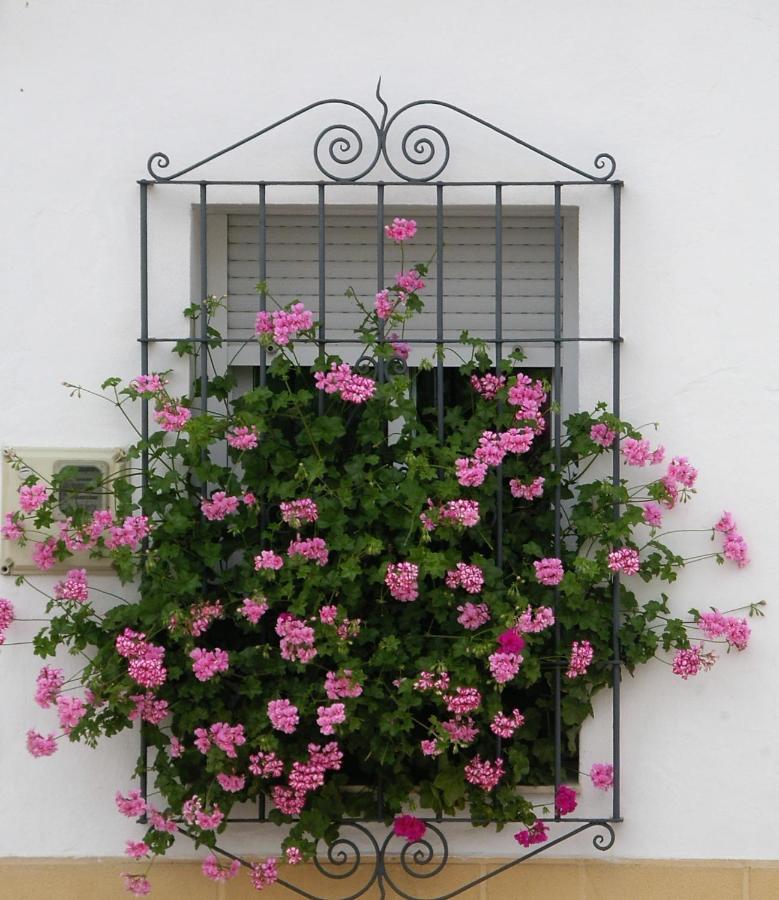 La Casa De Angela Holiday home Almodovar del Rio
